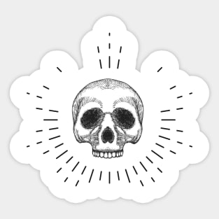 Holy Skull Sticker